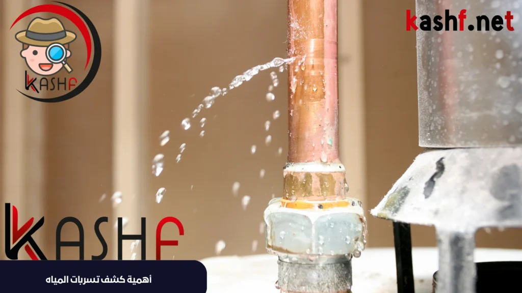أهمية كشف تسربات المياه